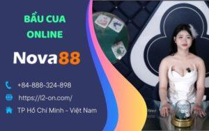 Bầu Cua Online - Trò Chơi Trực Tuyến Đẳng Cấp Tại NOVA88