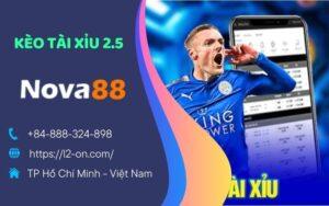 Khám Phá Kèo Tài Xỉu 2.5 Trong Cá Cược Bóng Đá Là Gì?