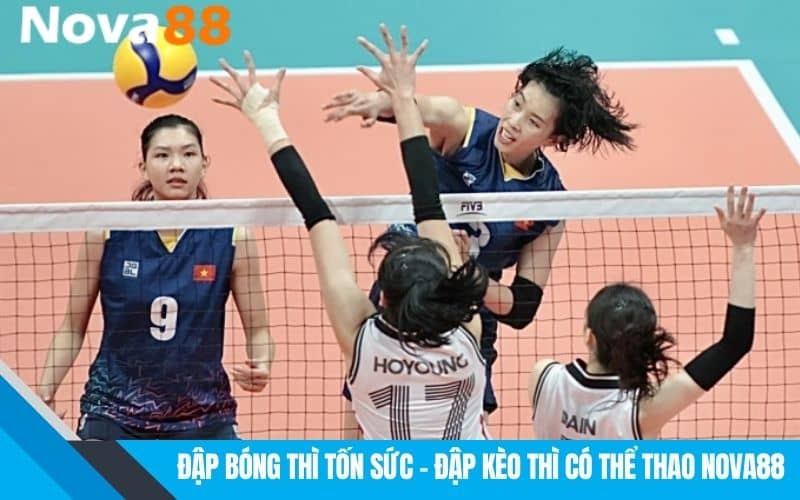 Giới thiệu về cá cược bóng chuyền tại NOVA88 Giới thiệu về cá cược bóng chuyền tại NOVA88
