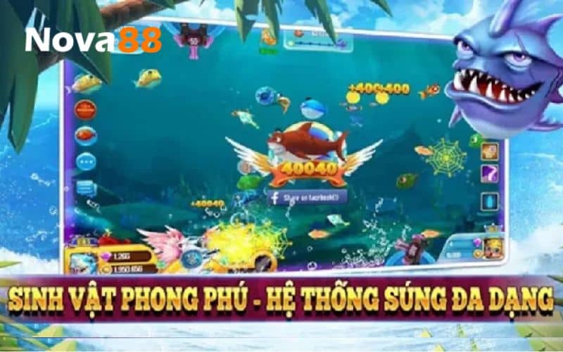 Giới thiệu về bắn cá Vương Giả Đánh Cá Giới thiệu về bắn cá Vương Giả Đánh Cá