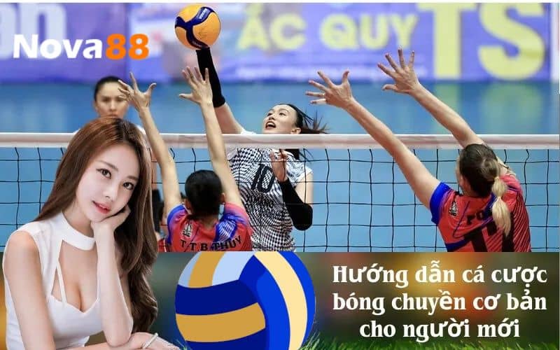 Tại sao nên chơi cá cược bóng chuyền tại NOVA88 Tại sao nên chơi cá cược bóng chuyền tại NOVA88